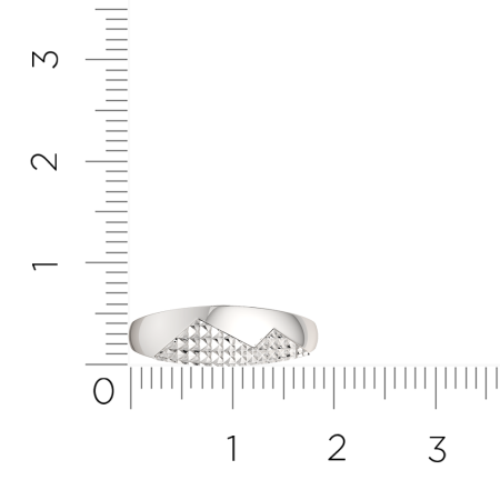Кольцо 0200403.ZZ