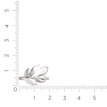 Кольцо 0200266.ZZ