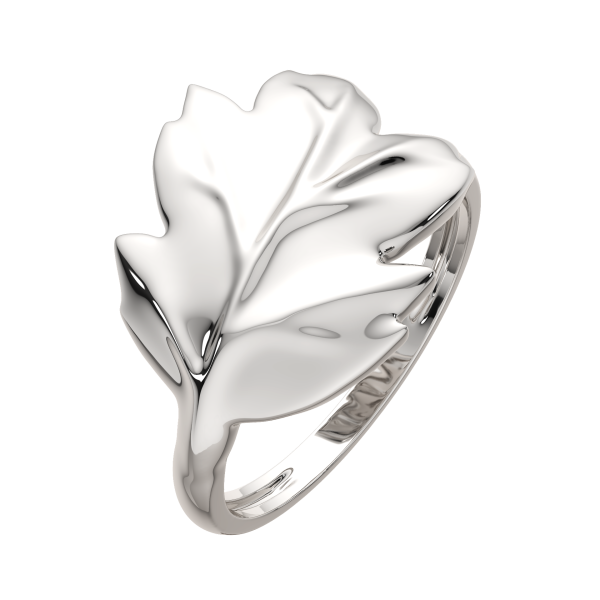 Кольцо 0200266.ZZ