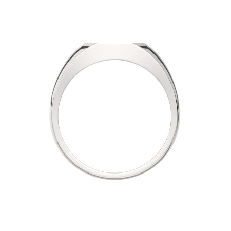 Кольцо 0200378.ZZ