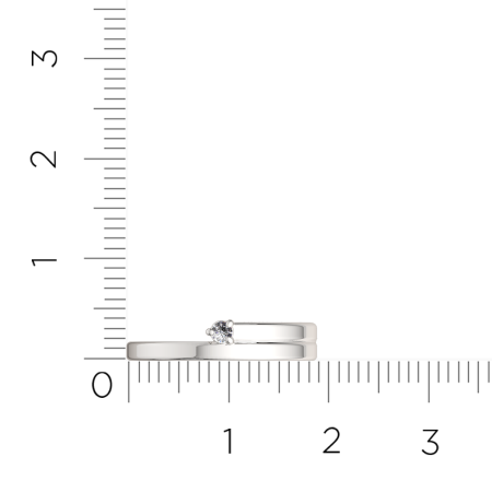 Кольцо 0210885.ZZ