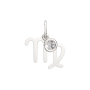 Подвеска 0401007.ZZ