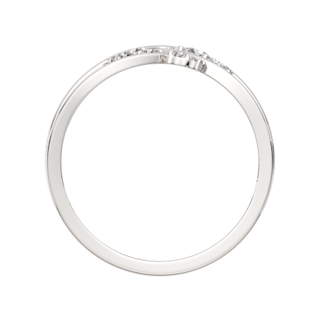 Кольцо 0210861.ZZ