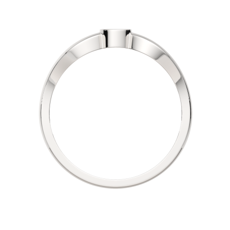 Кольцо 0210883.ZZ