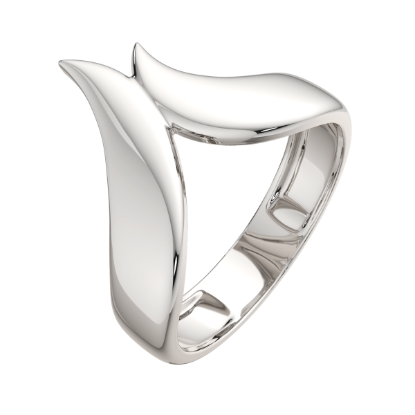 Кольцо 0200193.ZZ