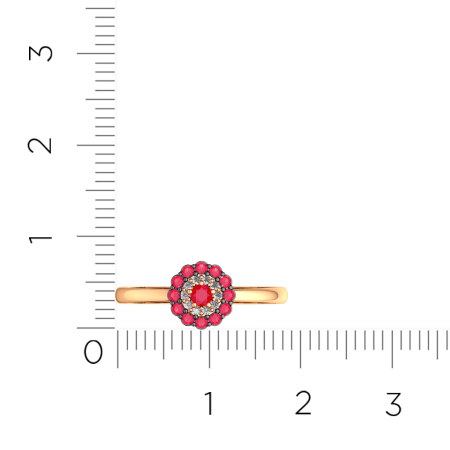 Кольцо 2D30205.14K.R.ZZ