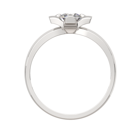 Кольцо 02101065.ZZ