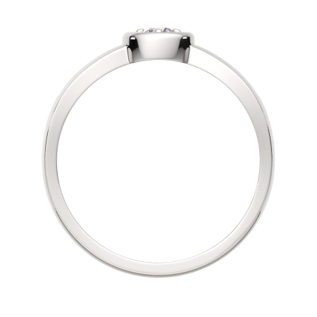 Кольцо 02101036.ZZ