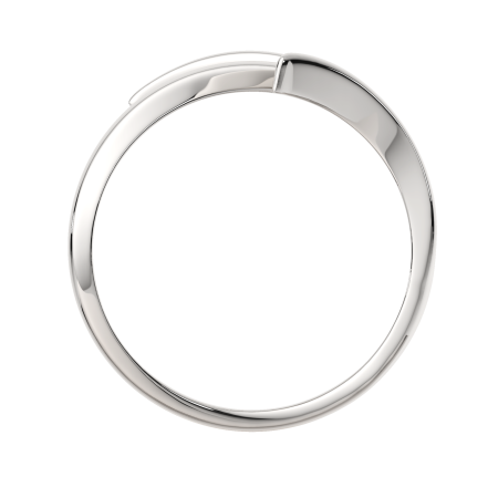 Кольцо 0200211.ZZ