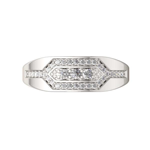 Кольцо 02101048.ZZ