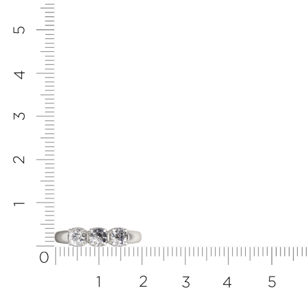Кольцо 0210550.ZZ
