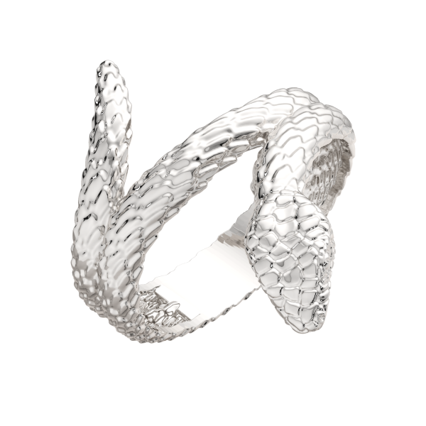 Кольцо 0200283.ZZ