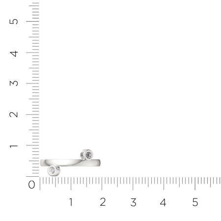 Кольцо 0210631.ZZ