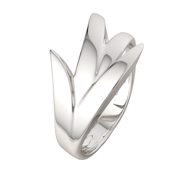 Кольцо 0200211.ZZ