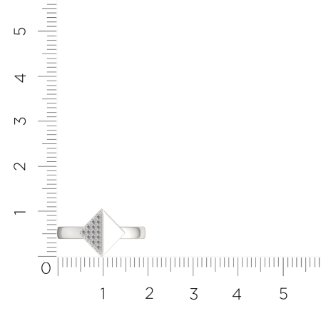 Кольцо 0210552.ZZ