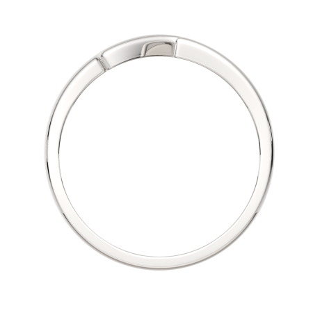 Кольцо 0200200.ZZ