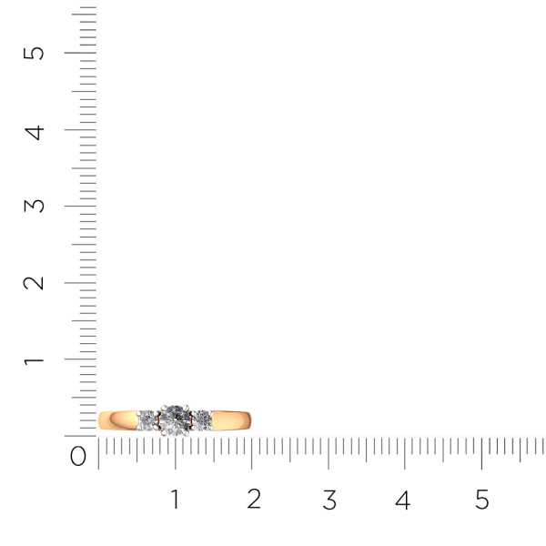 Кольцо 2101485.14K.R.ZZ