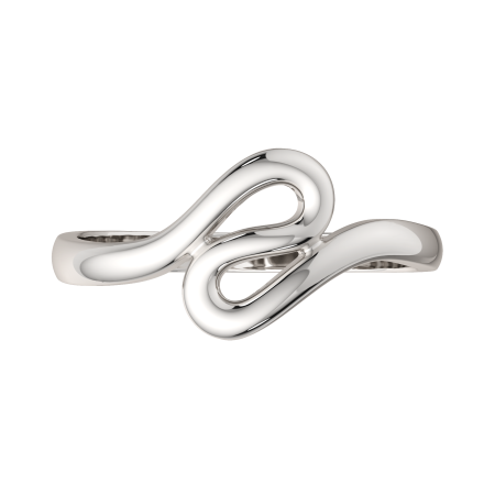 Кольцо 0200201.ZZ