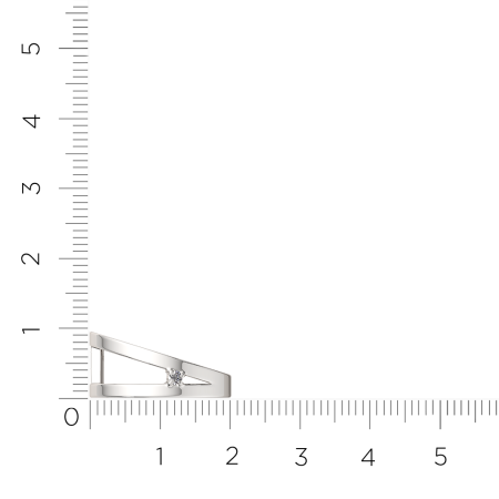 Кольцо 0210453.ZZ