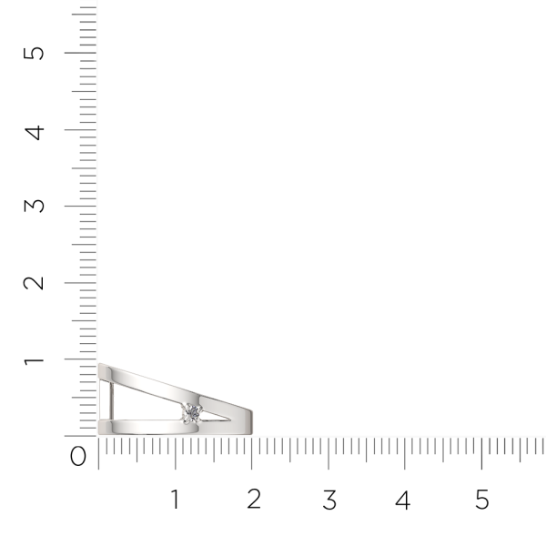Кольцо 0210453.ZZ