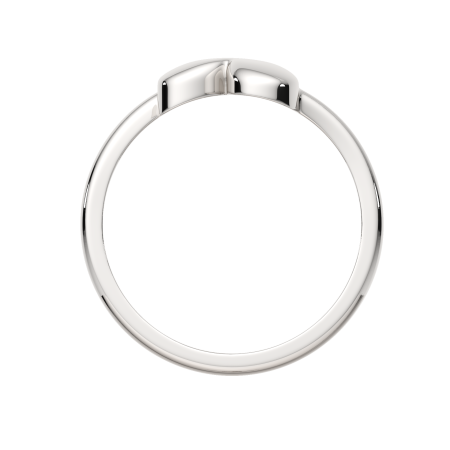 Кольцо 0200288.ZZ