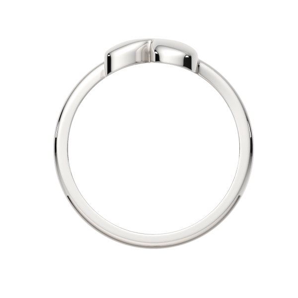 Кольцо 0200288.ZZ