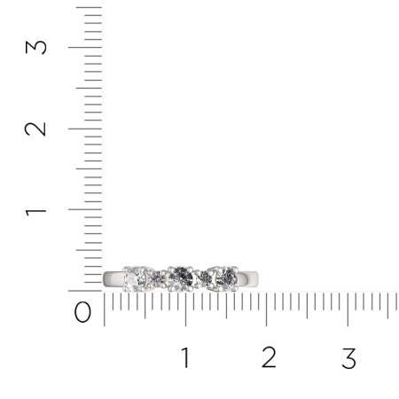 Кольцо 02101374.ZZ