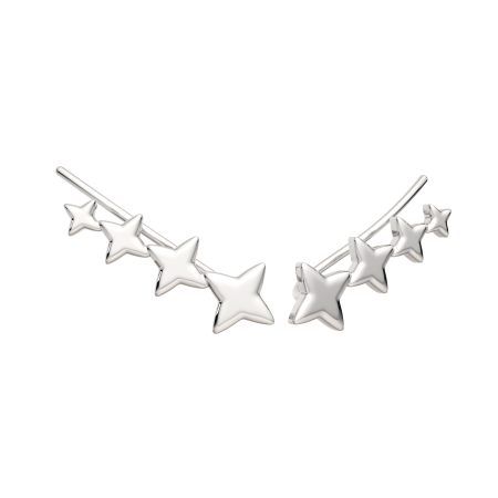 Серьги 0300592.ZZ