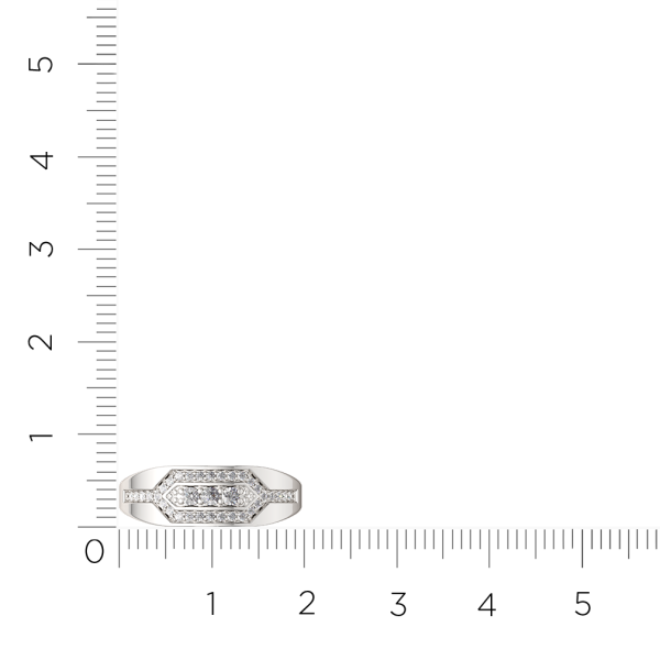 Кольцо 02101048.ZZ