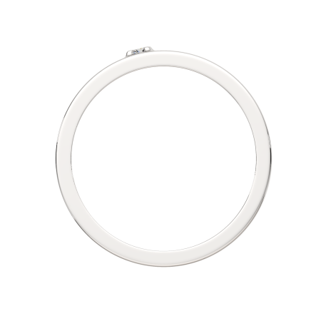 Кольцо 0210453.ZZ