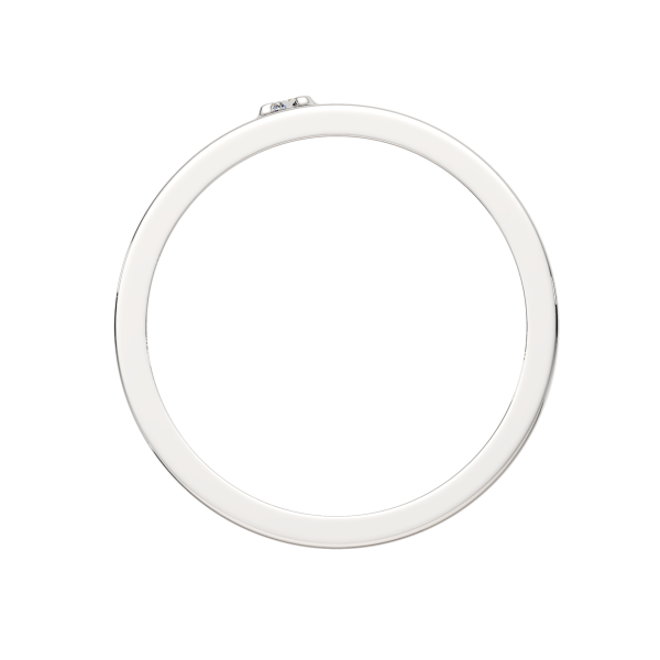 Кольцо 0210453.ZZ