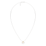 Колье 05D0024.G14K.ZZ
