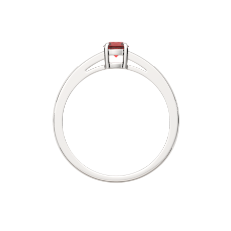 Кольцо 02S5040.ZZ