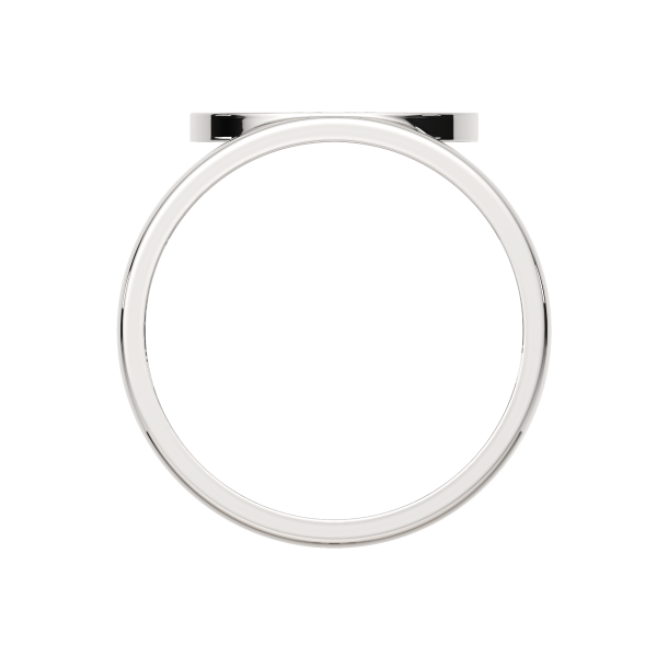 Кольцо 0210767.ZZ