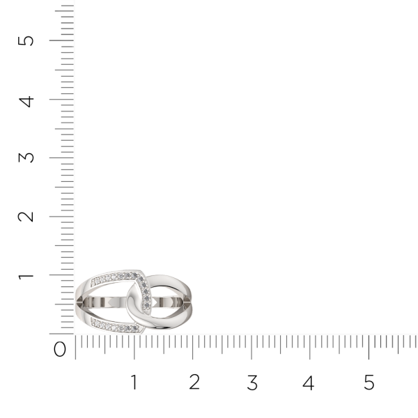 Кольцо 0210560.ZZ