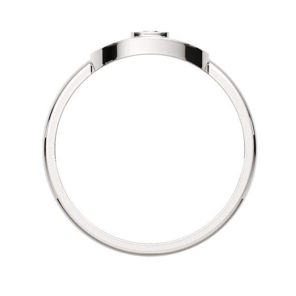 Кольцо 02101066.ZZ