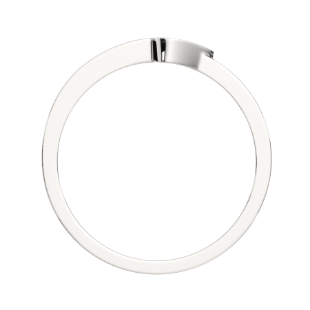 Кольцо 0210578.ZZ